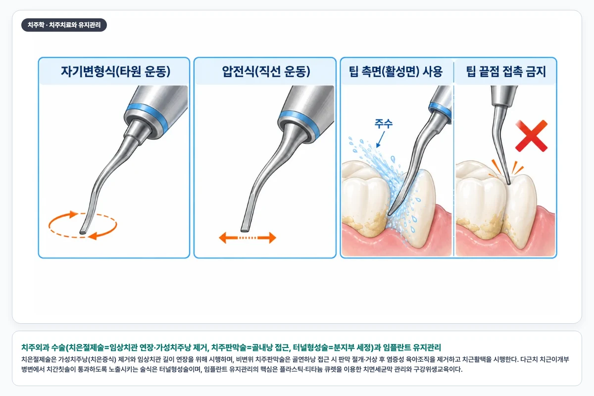 치주외과 수술(치은절제술=임상치관 연장·가성치주낭 제거, 치주판막술=골내낭 접근, 터널형성술=분지부 세정)과 임플란트 유지관리
