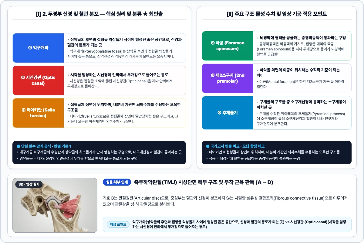 2. 두경부 신경 및 혈관 분포 핵심 구조 및 기공 공정 비교 모식도