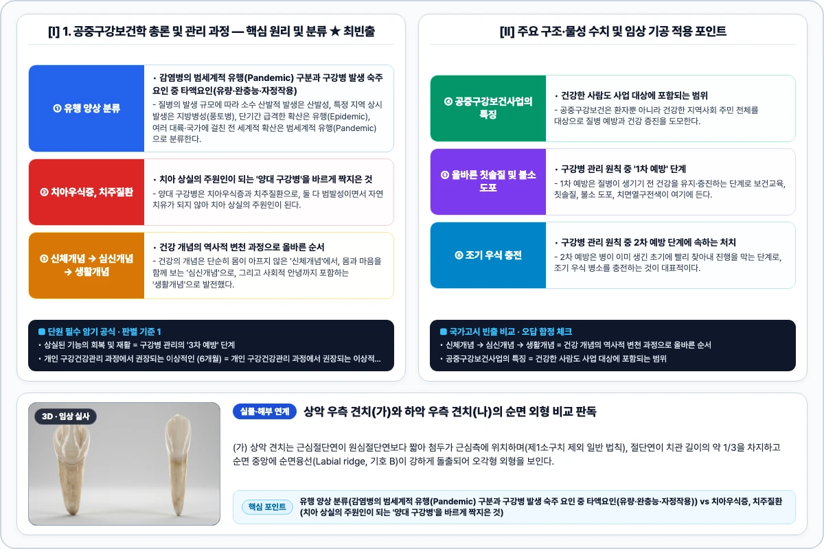 1. 공중구강보건학 총론 및 관리 과정 핵심 구조 및 기공 공정 비교 모식도