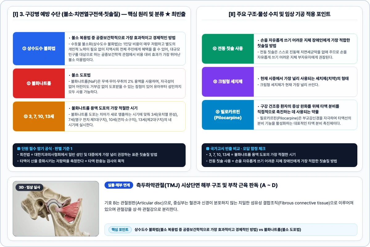 3. 구강병 예방 수단 (불소·치면열구전색·칫솔질) 핵심 구조 및 기공 공정 비교 모식도