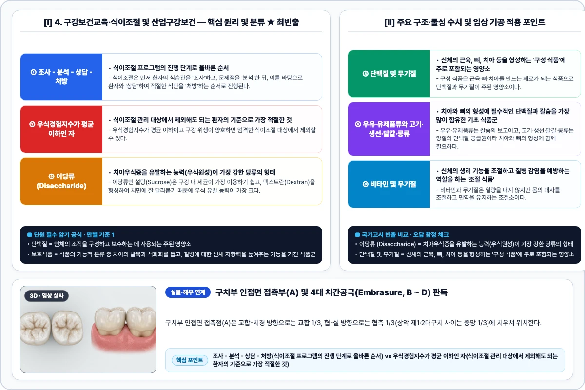 4. 구강보건교육·식이조절 및 산업구강보건 핵심 구조 및 기공 공정 비교 모식도