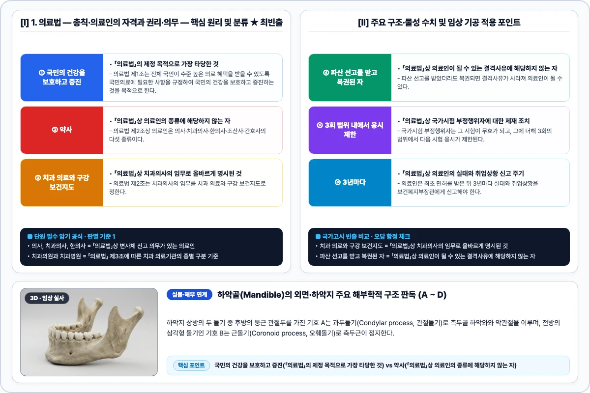 1. 의료법 — 총칙·의료인의 자격과 권리·의무 핵심 구조 및 기공 공정 비교 모식도