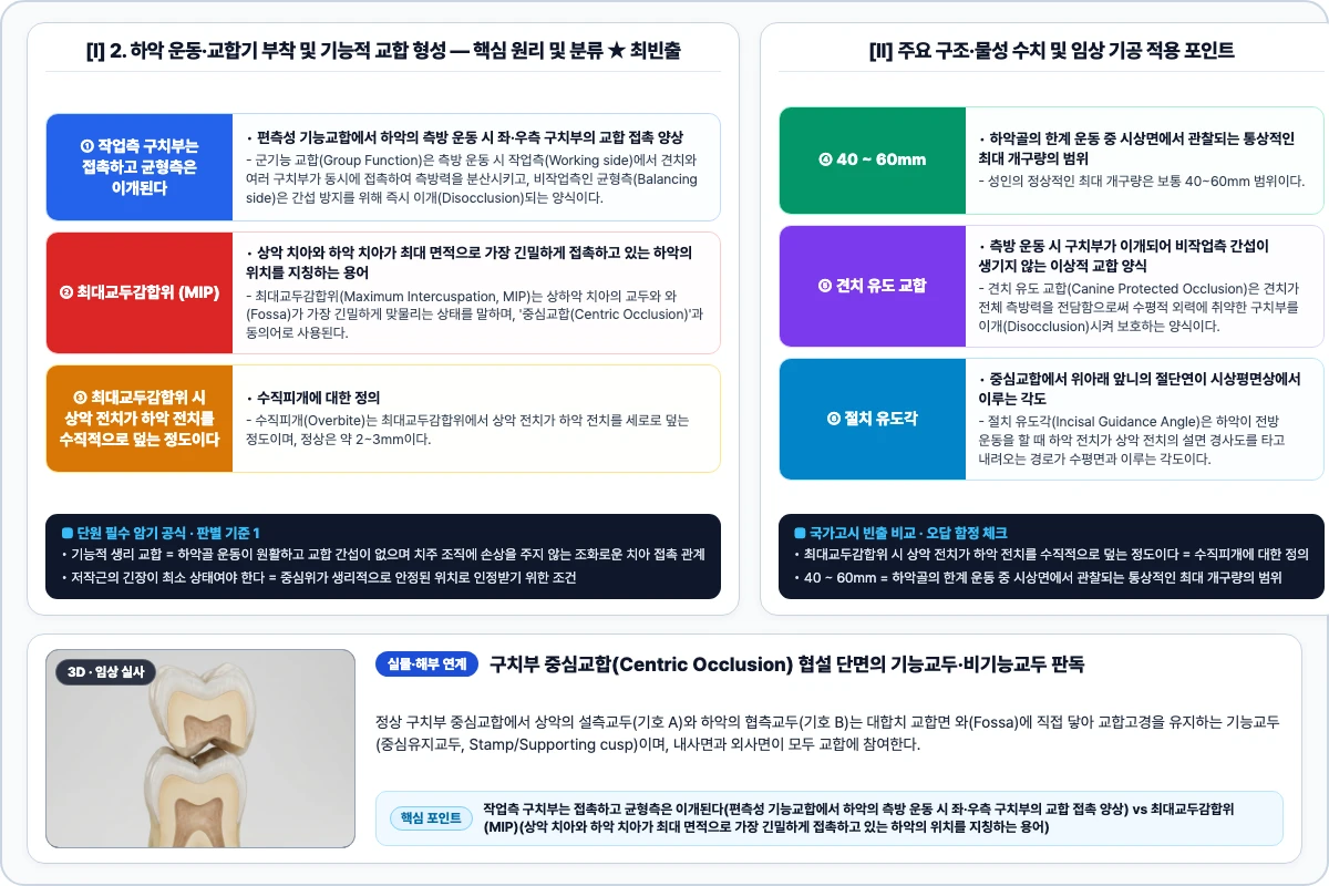 2. 하악 운동·교합기 부착 및 기능적 교합 형성 핵심 구조 및 기공 공정 비교 모식도