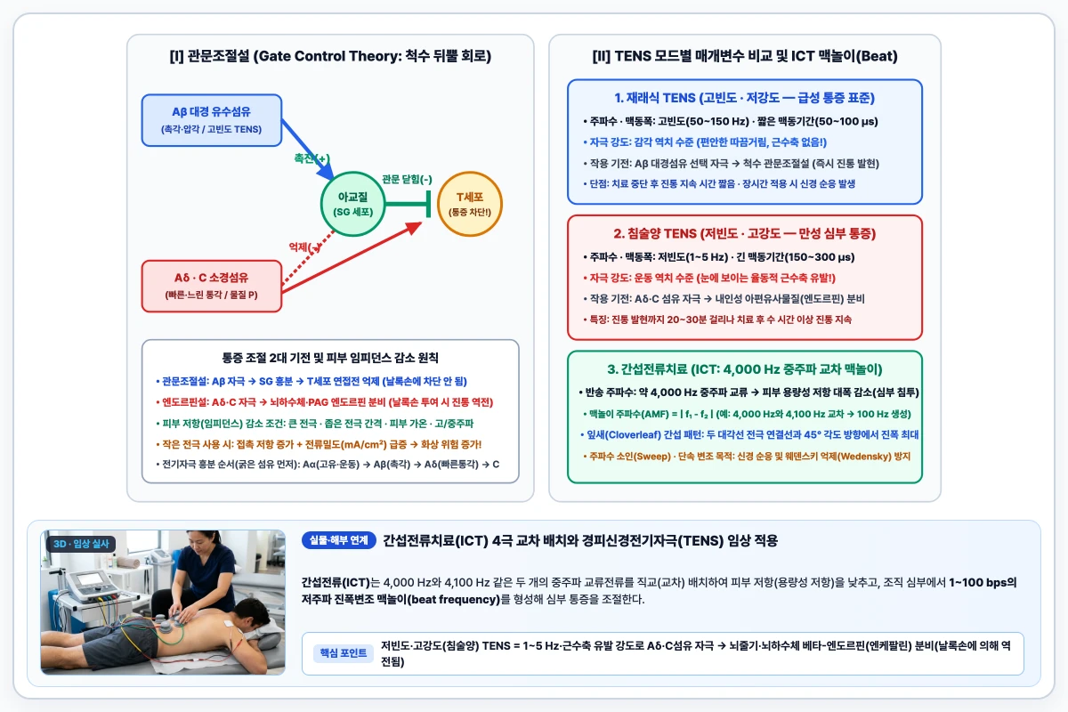 관문조절설의 A-beta 섬유 아교질 활성 및 T세포 억제 기전과 재래식·침술양 TENS 파형 및 간섭파 맥놀이 도해
