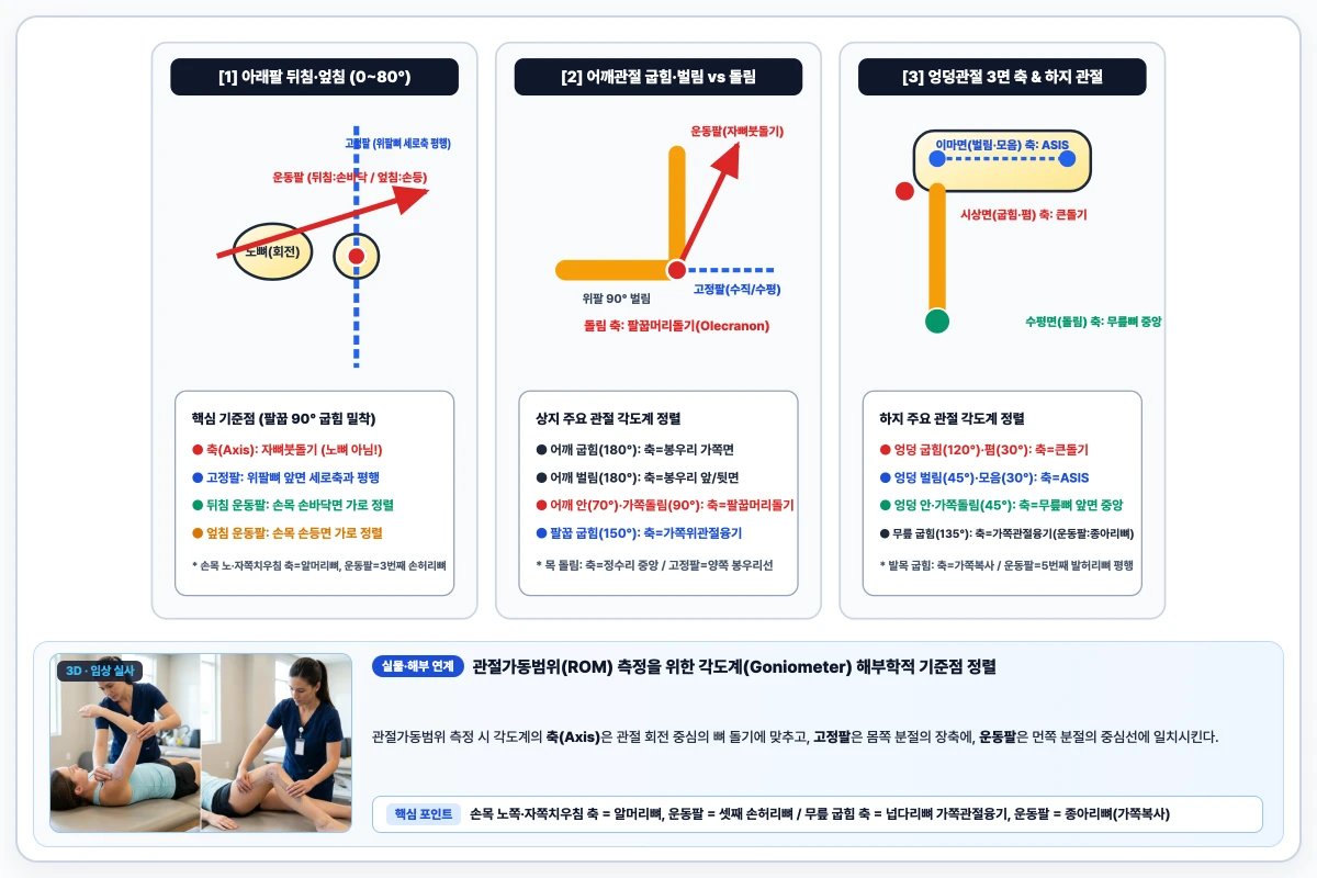 주요 관절 관절가동범위(ROM) 각도계 축, 고정팔, 운동팔 해부학적 기준점 도해