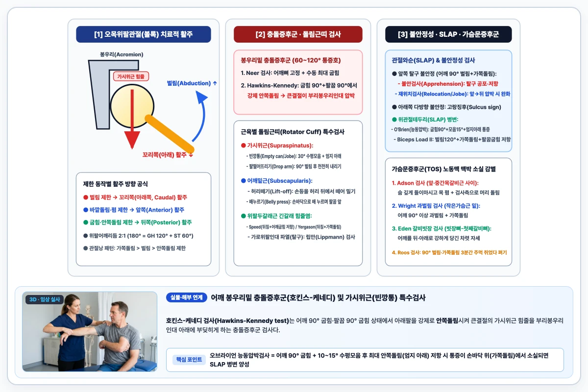 오목위팔관절 치료적 활주 방향(벌림 시 꼬리쪽 활주, 가쪽돌림 시 앞쪽 활주)과 어깨 충돌 및 불안정성 특수검사 도해