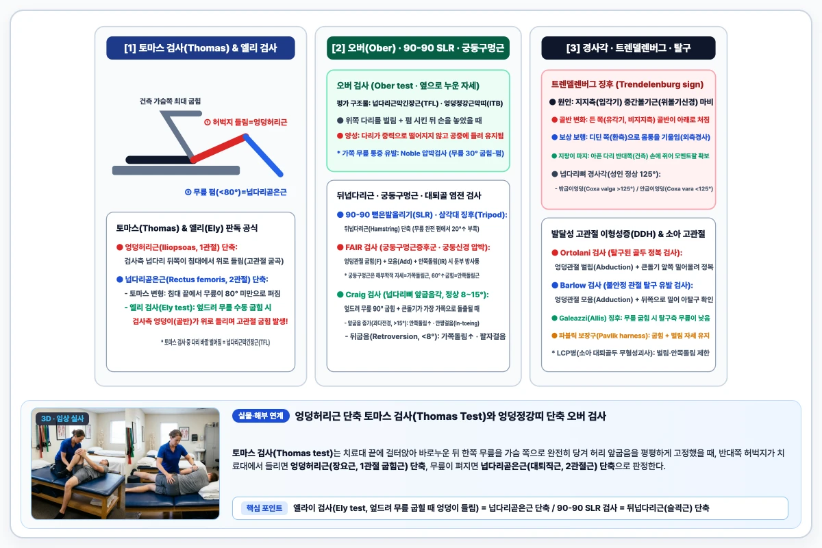 엉덩관절 근육 단축 감별검사 4종(Thomas 엉덩허리근, Ober 넙다리근막긴장근, Ely 넙다리곧은근, 90-90 SLR 뒤넙다리근) 비교 도해
