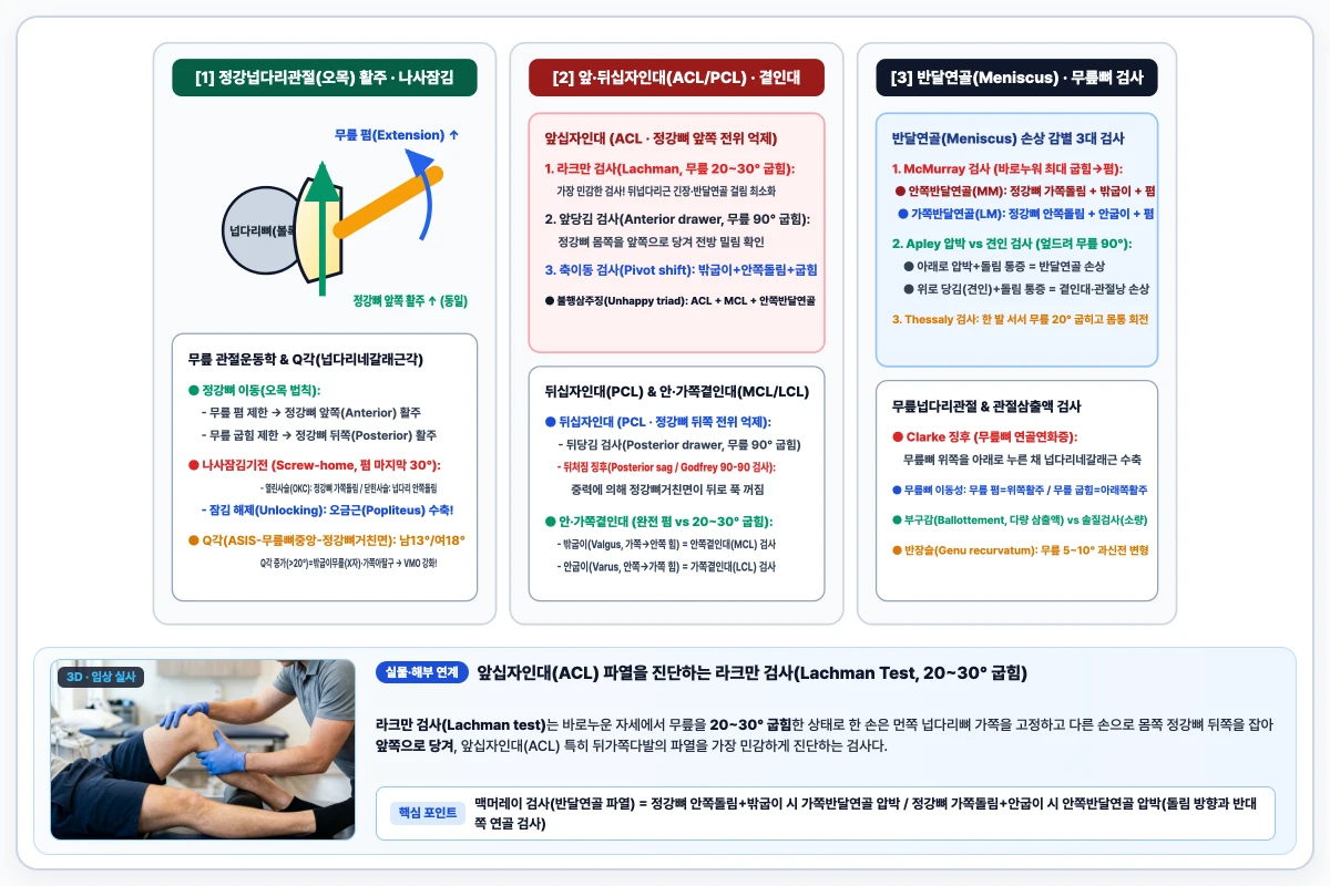 정강넙다리관절 오목 정강뼈 이동에 따른 앞·뒤활주 방향과 십자인대(Lachman, 앞·뒤당김) 및 반달연골(McMurray, Apley) 검사 도해