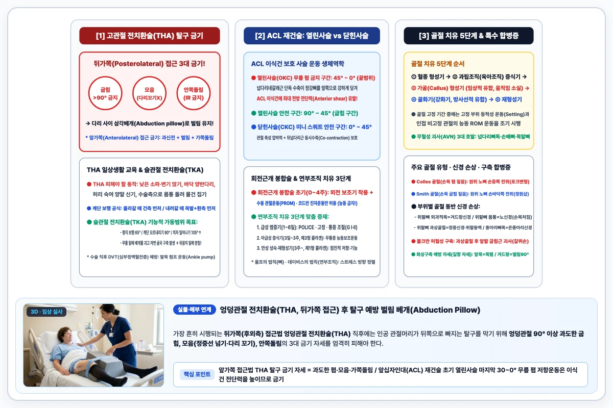 엉덩관절 전치환술(THA 뒤가쪽 접근법: 굽힘 90도 초과, 모음, 안쪽돌림 3대 탈구 금기 자세)과 ACL 재건술 사슬 운동 비교 도해