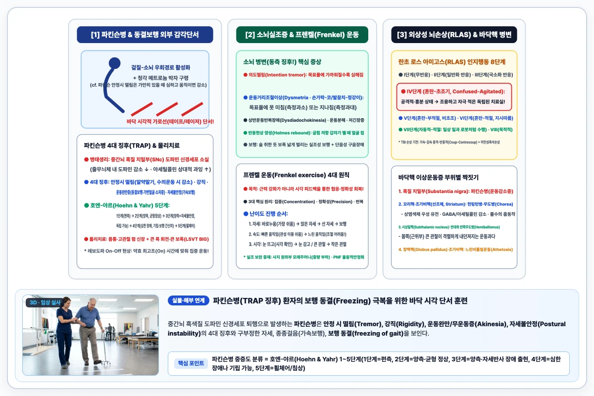 파킨슨병(구부정한 자세, 동결보행 극복 시각 바닥선 단서)과 소뇌실조(측정과소·과대, 롬버그 검사, 프렌켈 운동) 비교 도해
