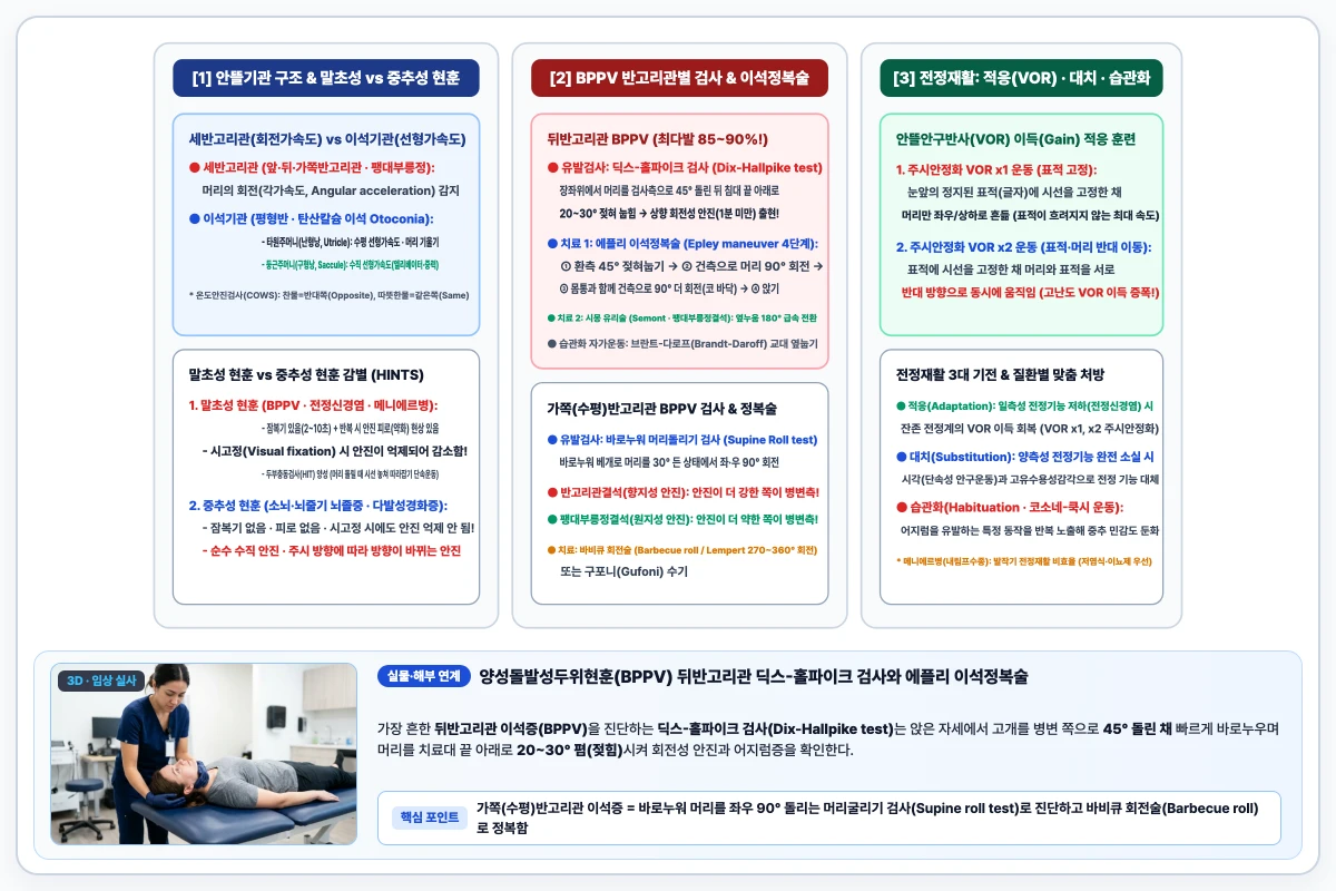 양성 돌발성 체위성 현훈(BPPV) 뒤반고리관(Dix-Hallpike 검사 및 Epley 이석정복술) 대 가쪽반고리관(Roll 검사) 및 VOR 적응훈련 도해