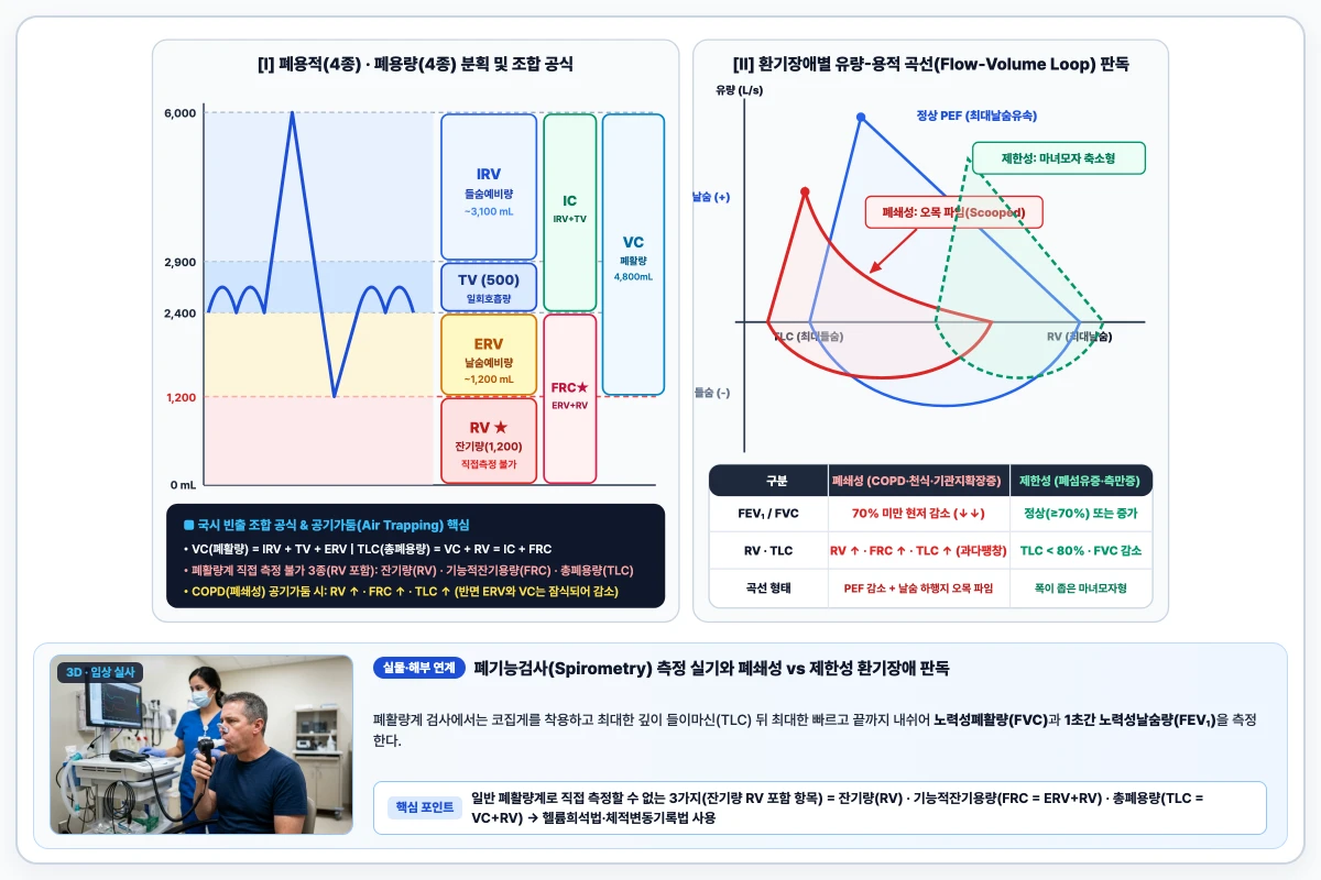 폐용적 4종과 폐용량 4종 분획 그래프 및 폐쇄성과 제한성 폐질환의 유량-용적 곡선 비교 도해