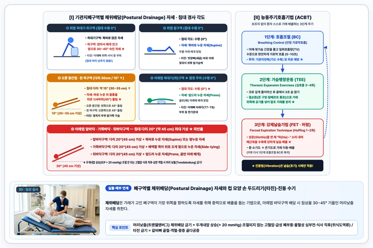 기관지폐구역별 체위배담 침대 경사 각도·자세 및 능동주기호흡기법(ACBT) 3단계 순환 도해