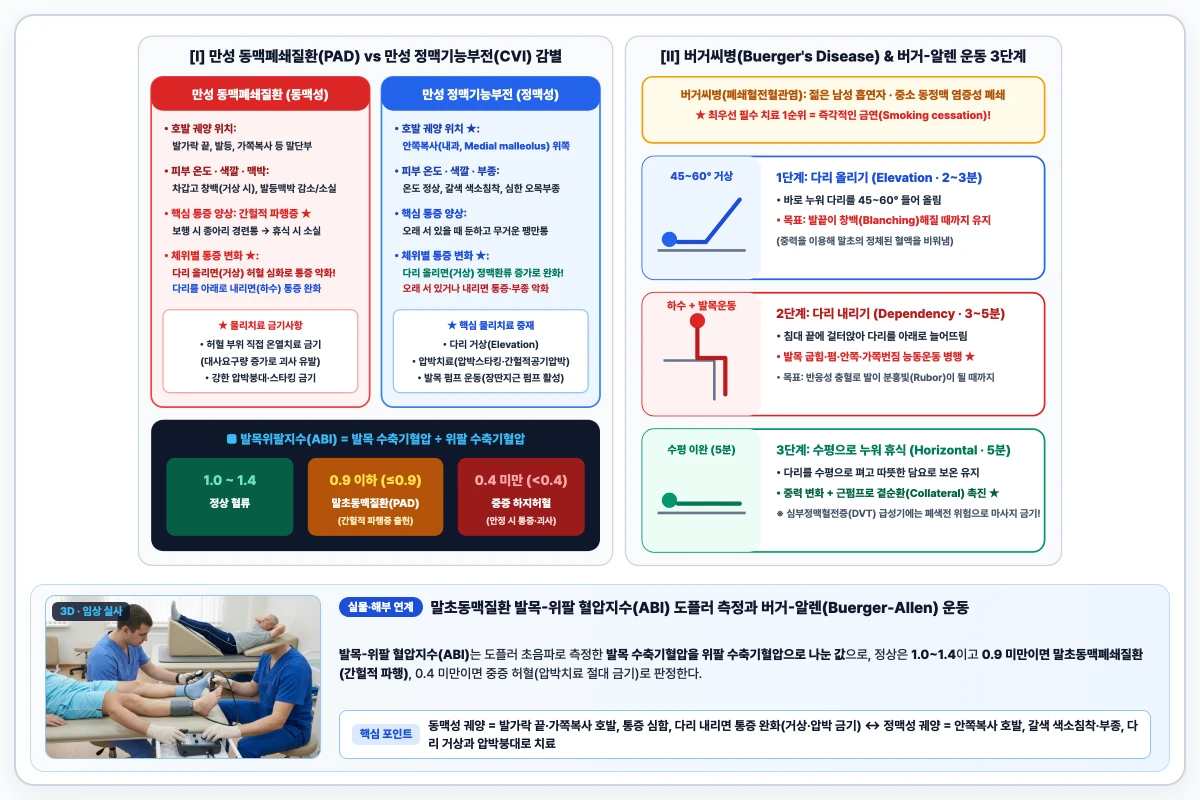 만성 동맥폐쇄질환과 정맥기능부전 궤양 감별, 발목위팔지수(ABI) 및 버거-알렌 운동 3단계 도해