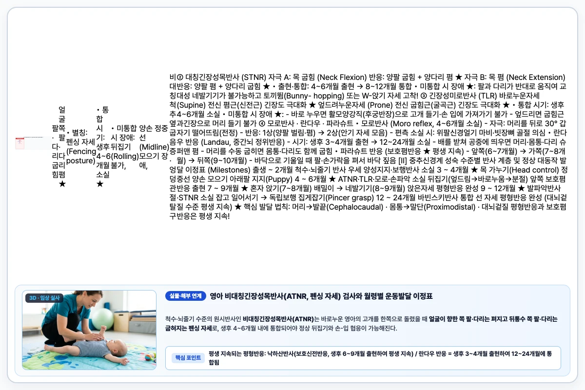 영유아 원시반사 4종(ATNR·STNR·TLR·모로반사) 자극-반응 자세와 대뇌겉질 평형반응 발달 타임라인 도해