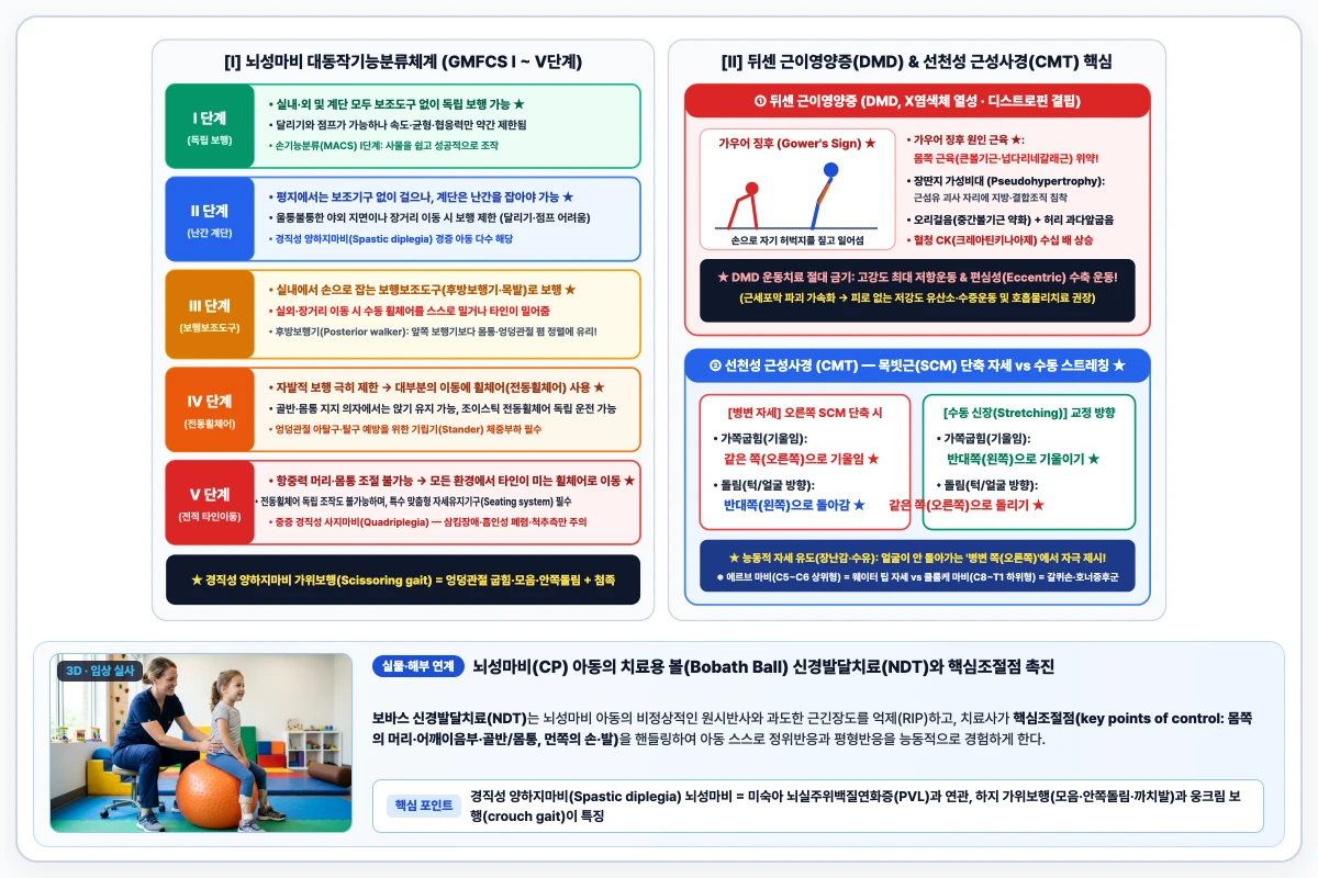 뇌성마비 대동작기능분류(GMFCS I~V단계), 뒤센 근이영양증 가우어 징후 및 선천성 근성사경 교정 방향 도해
