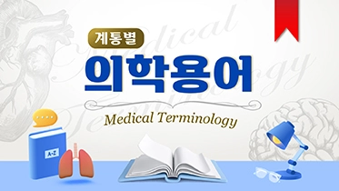 계통별 의학용어