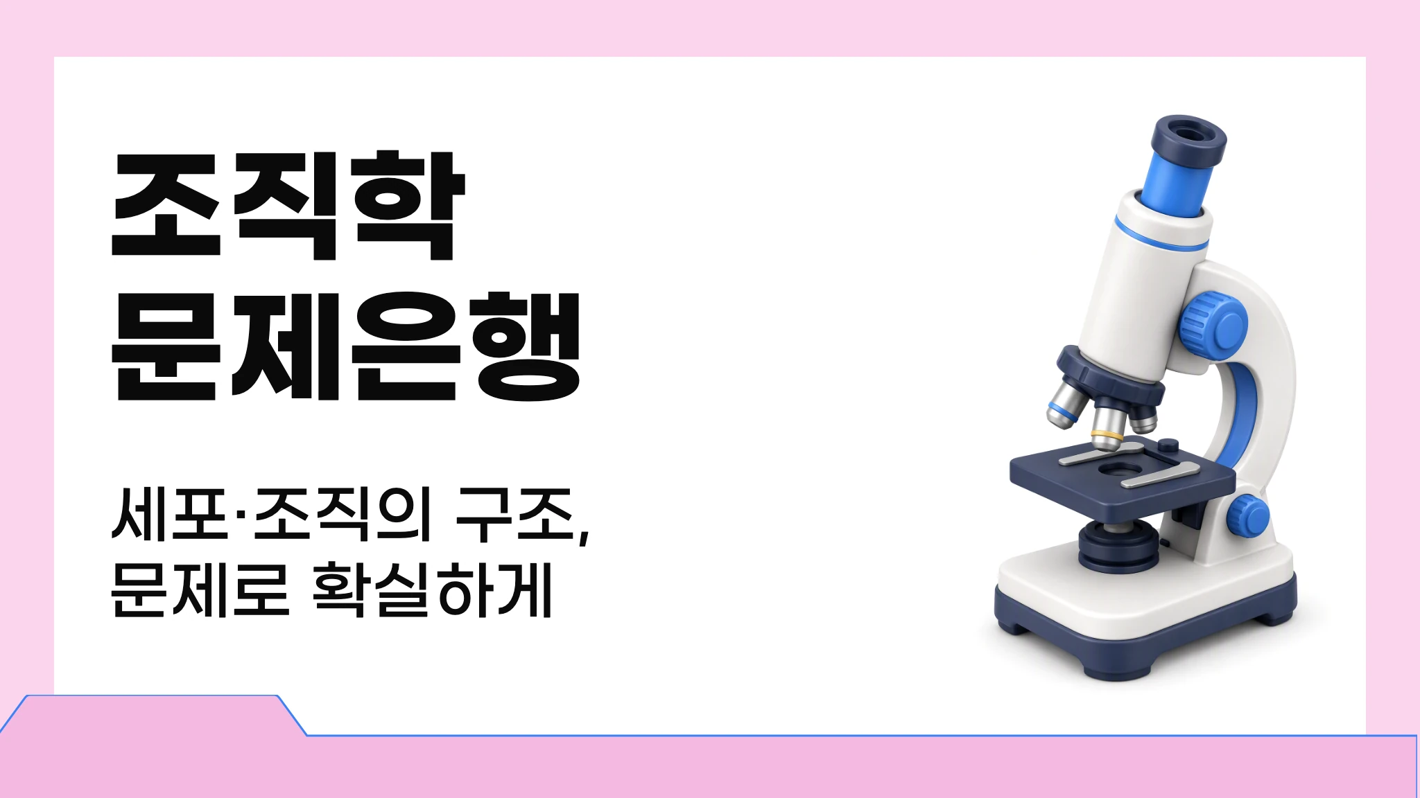 [2026 국시대비] 실전 문제로 끝내는 조직학 문제은행