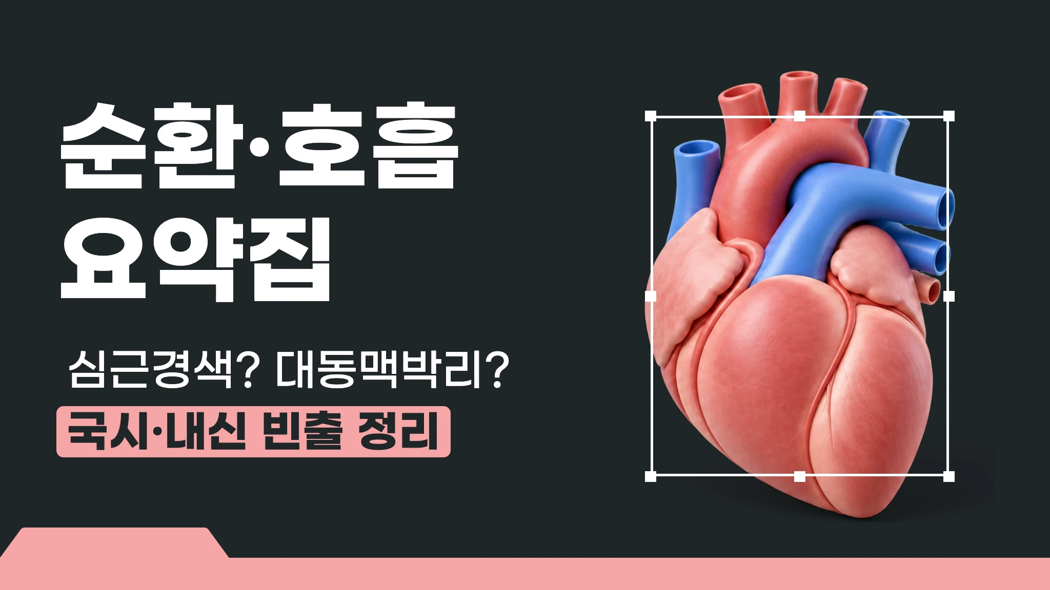[1급 내신대비] 출제 포인트로 정리하는 순환·호흡 응급 요약집