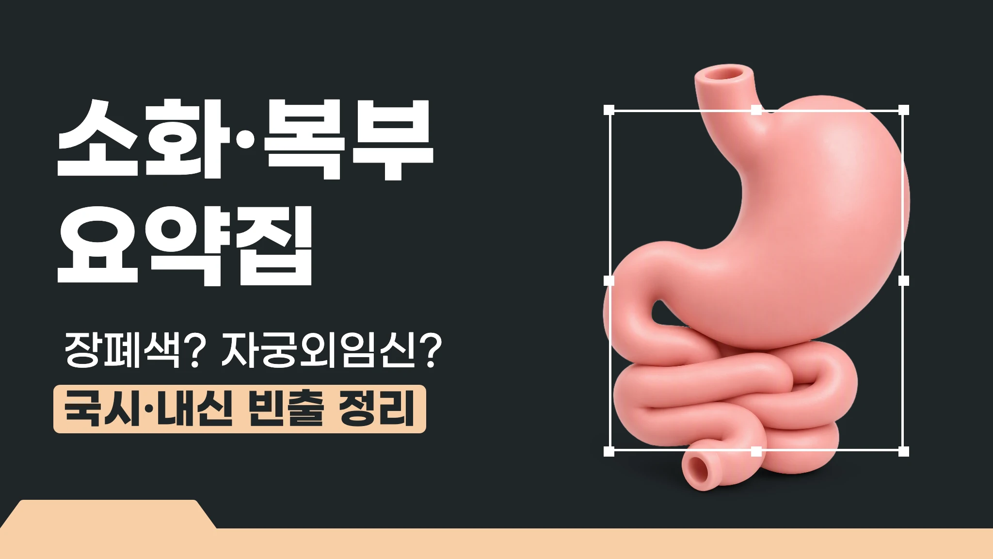 [1급 내신대비] 출제 포인트로 정리하는 소화·복부 응급 요약집