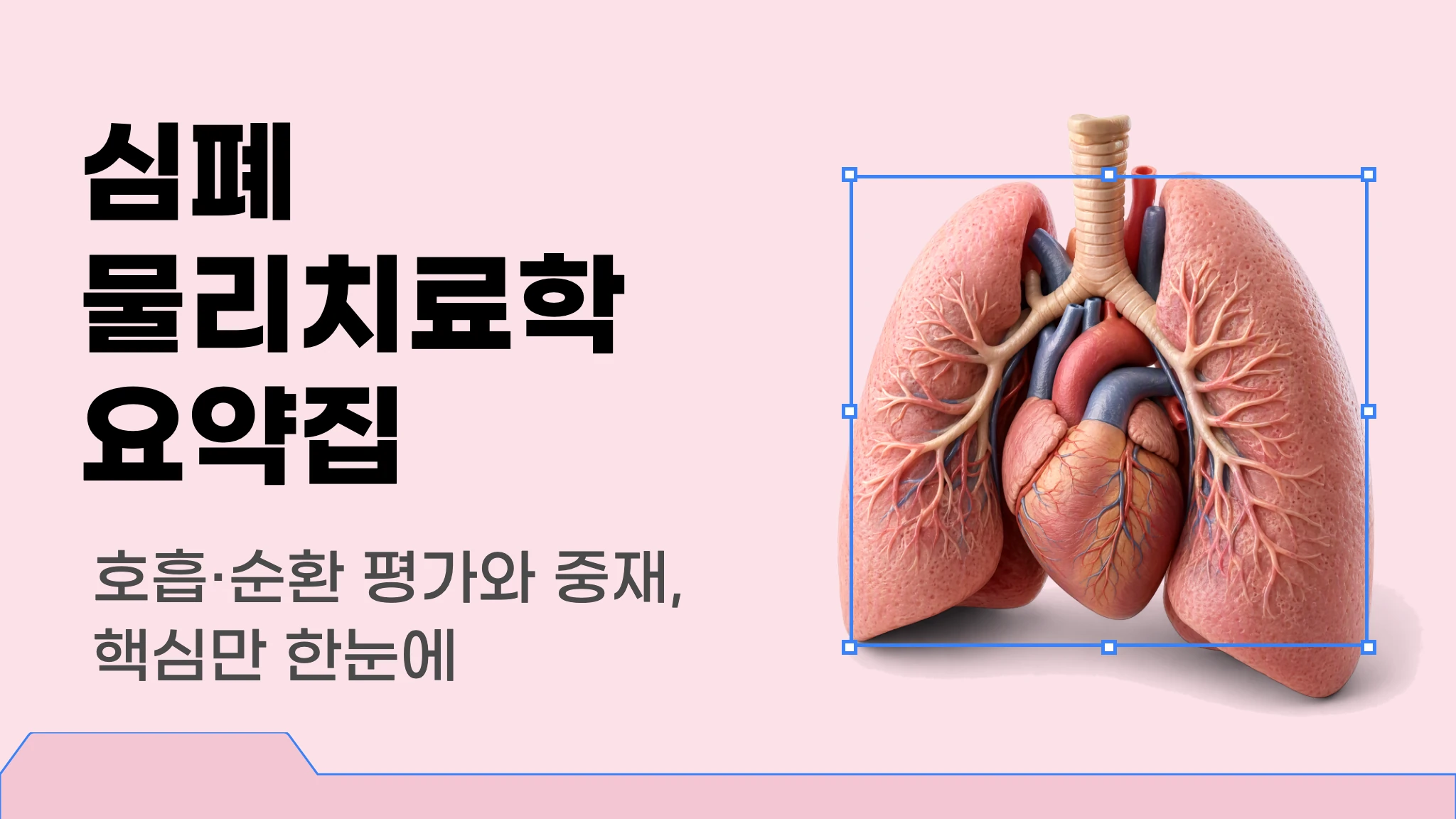 [물리치료사 국가고시 대비] 심폐혈관계 물리치료학 요약집
