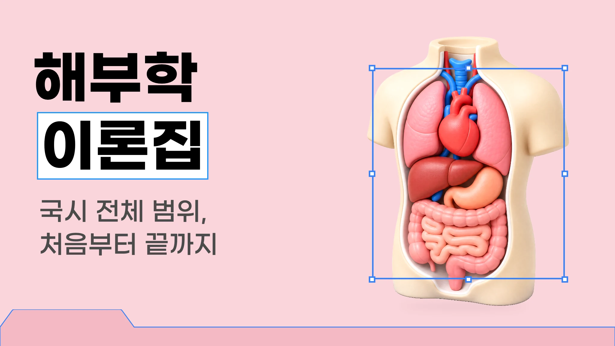 [내신대비] 원리부터 이해하는 해부학 이론집