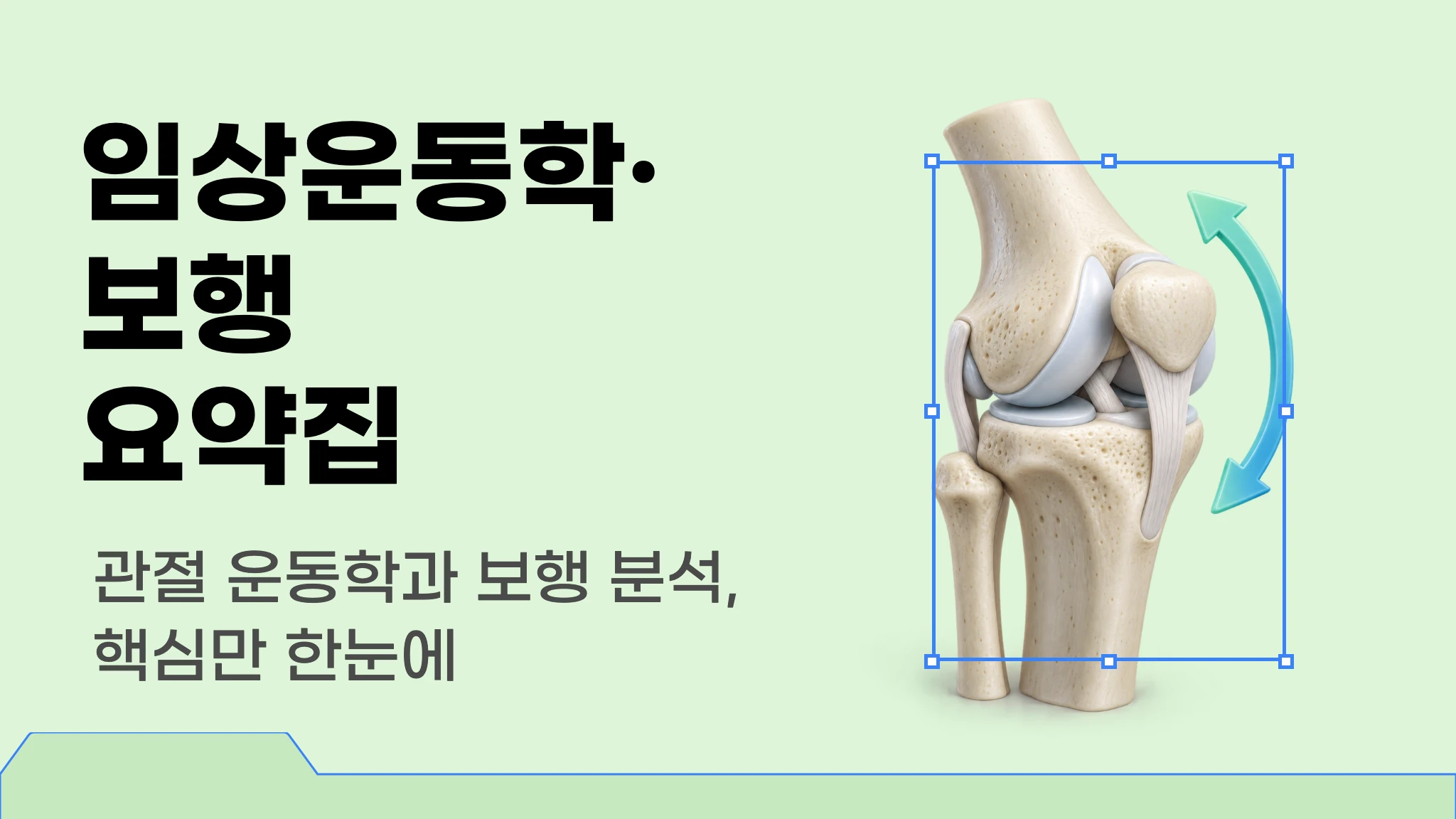 [물리치료사 국가고시 대비] 임상운동학·보행 요약집