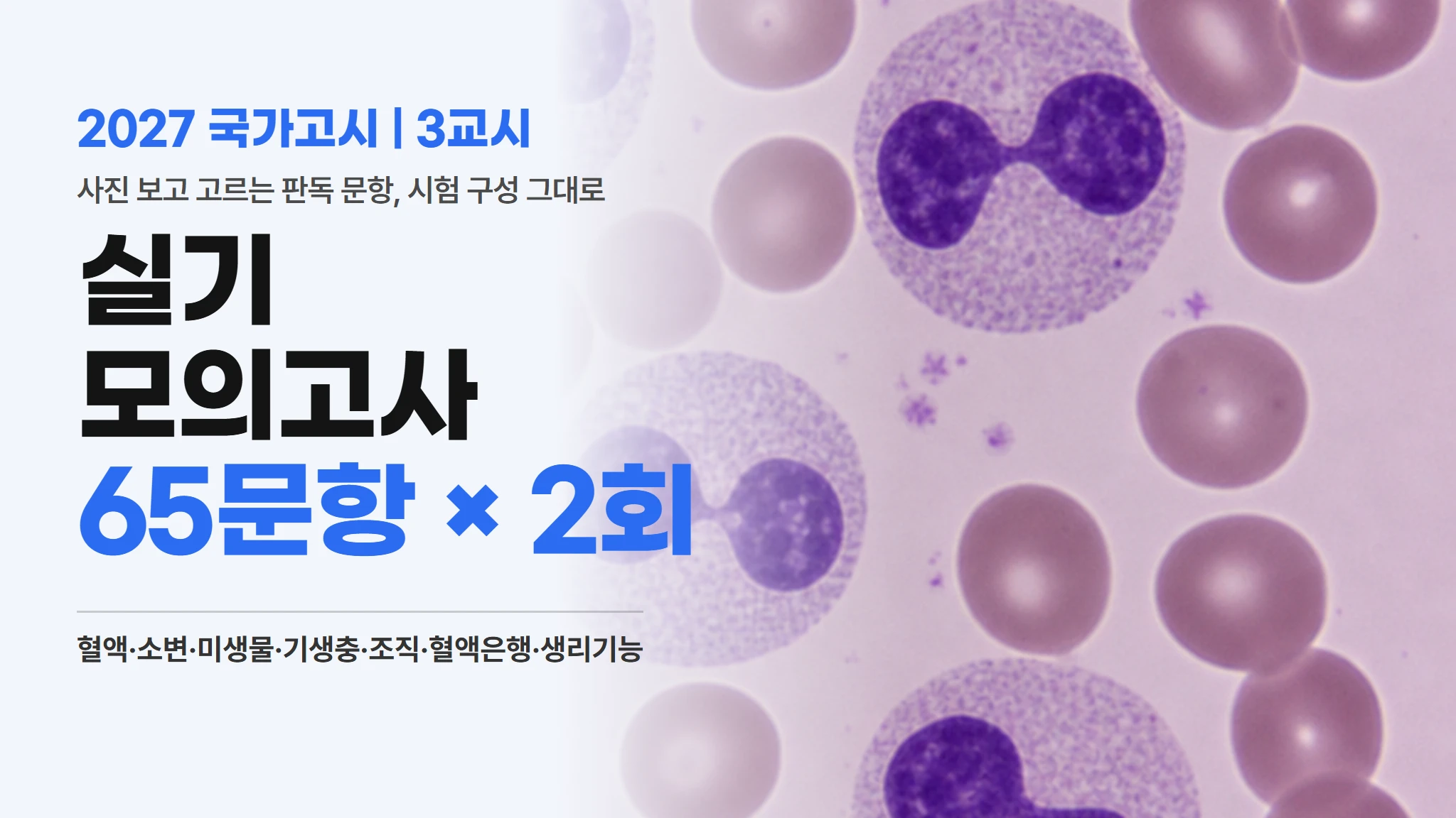 2027 국가고시 | 실기 모의고사