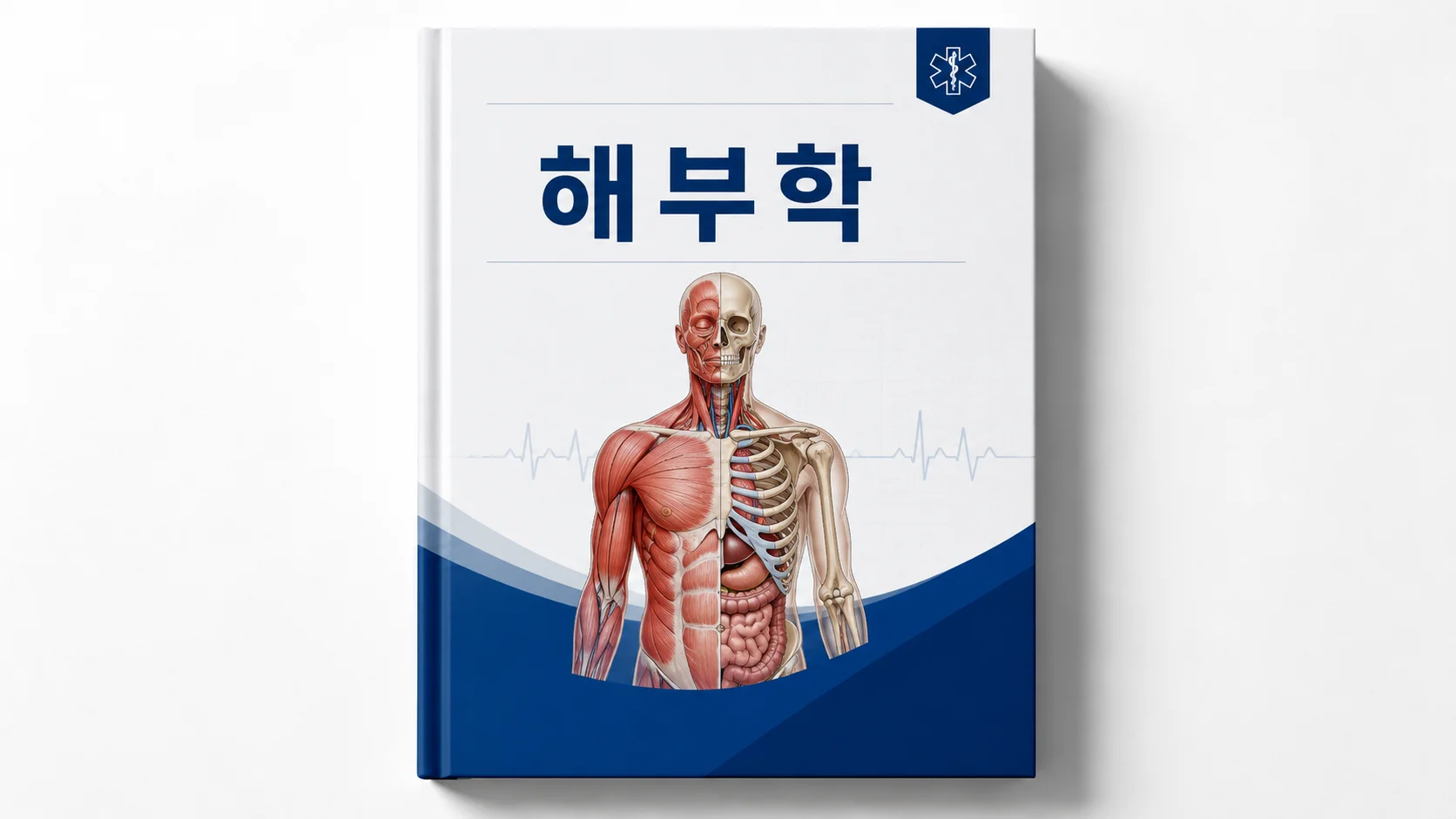 해부학