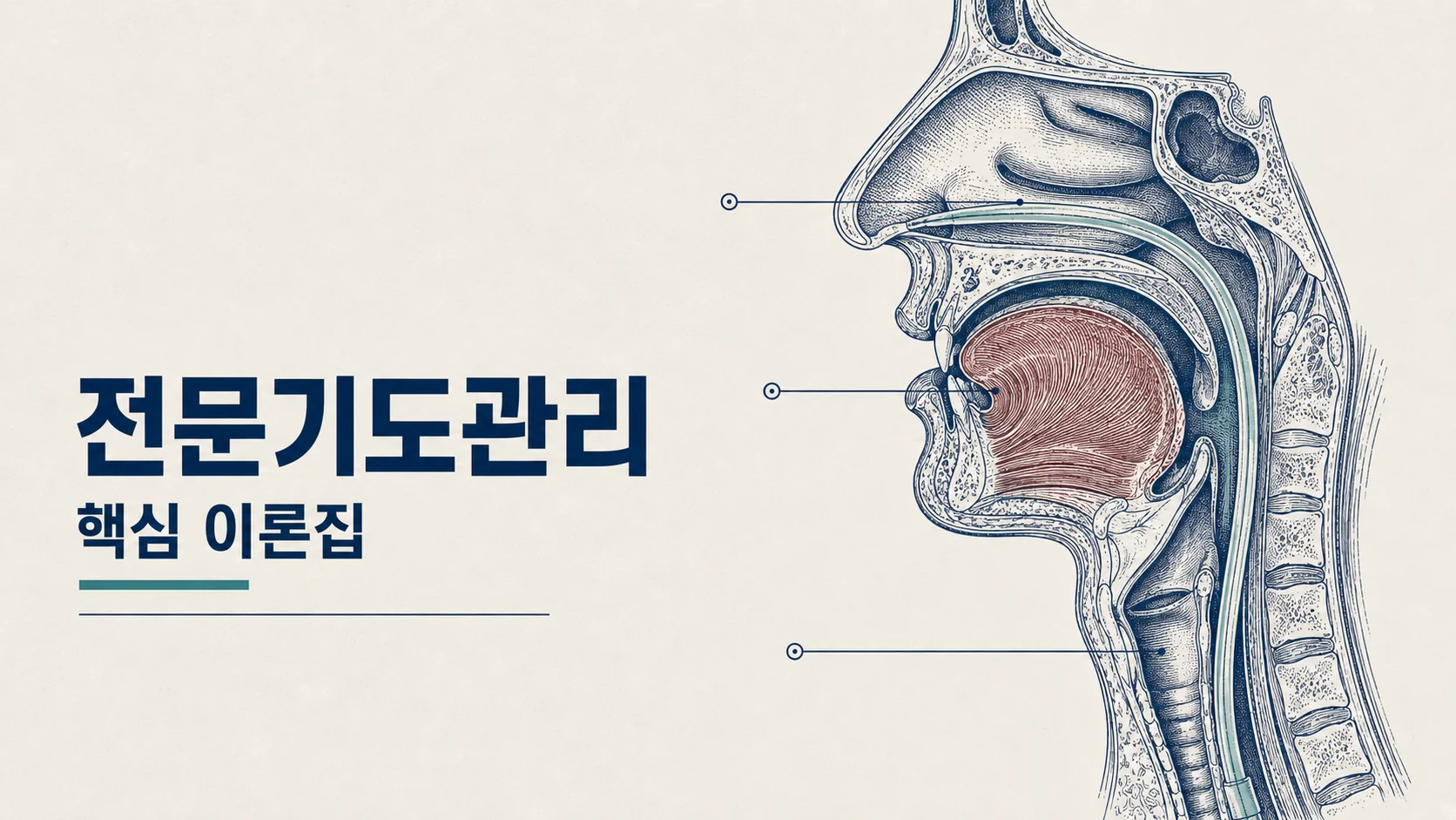 [국시 프리패스] 전문기도관리 이론집