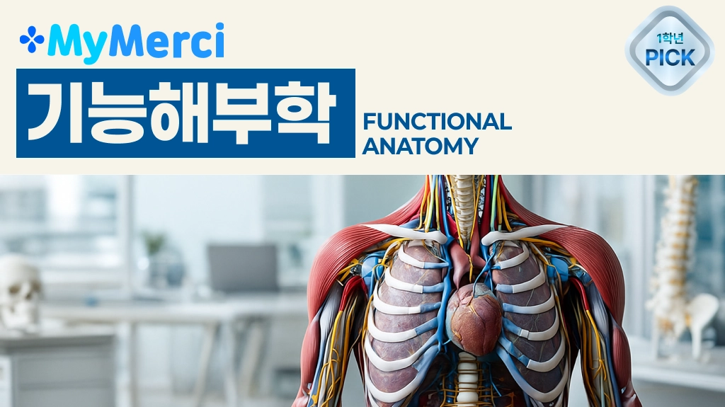 기능해부학 문제은행 한 권으로 A+ 받기!