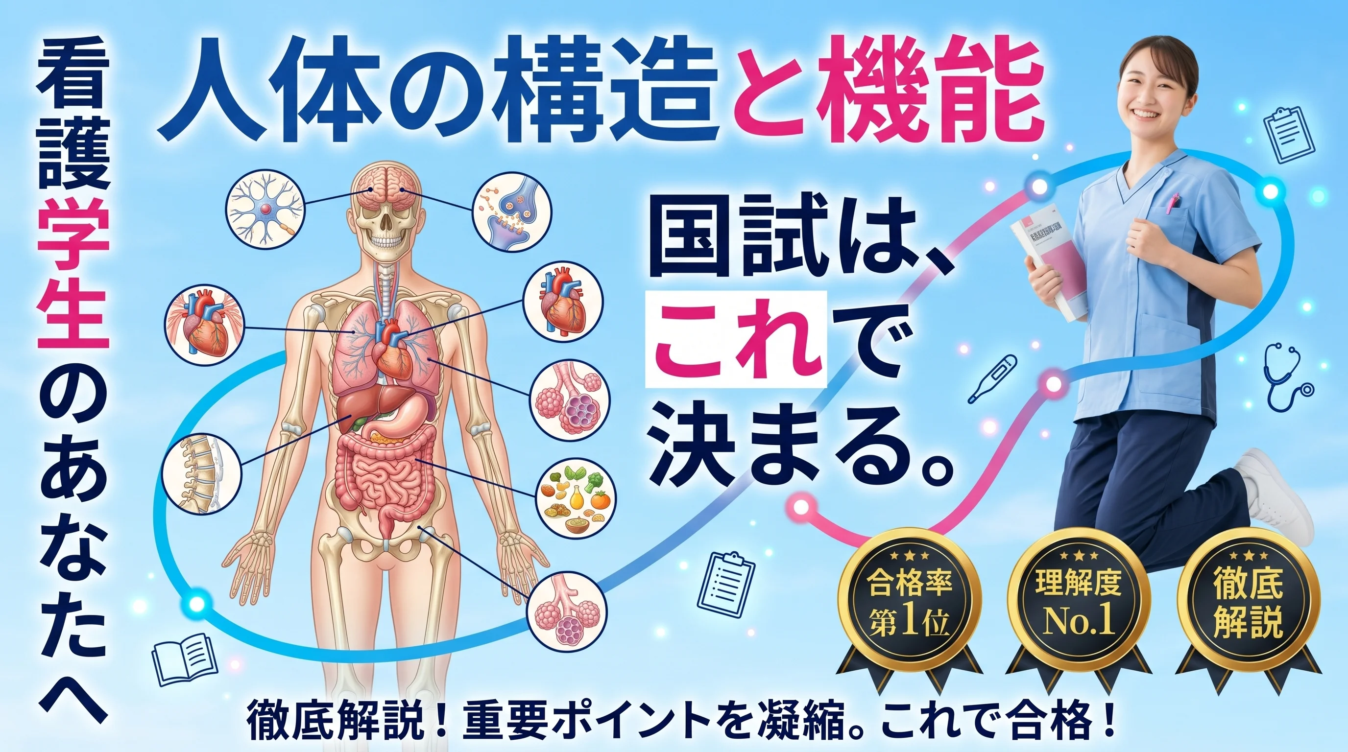人体の構造と機能