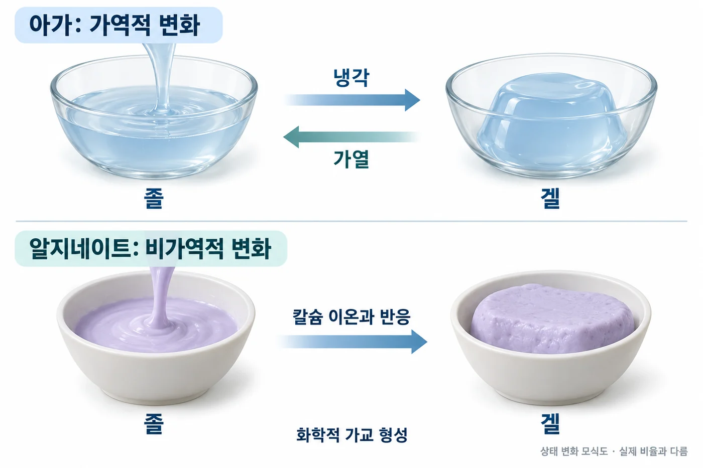 아가와 알지네이트의 상태 변화