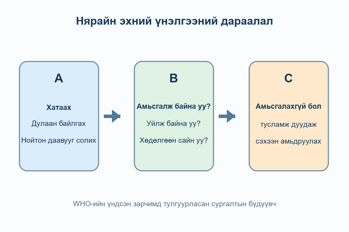 A нярайг хатааж дулаалах, B амьсгал уйлах хөдөлгөөнийг үнэлэх, C амьсгалахгүй бол тусламж дуудаж сэхээн амьдруулах дараалал