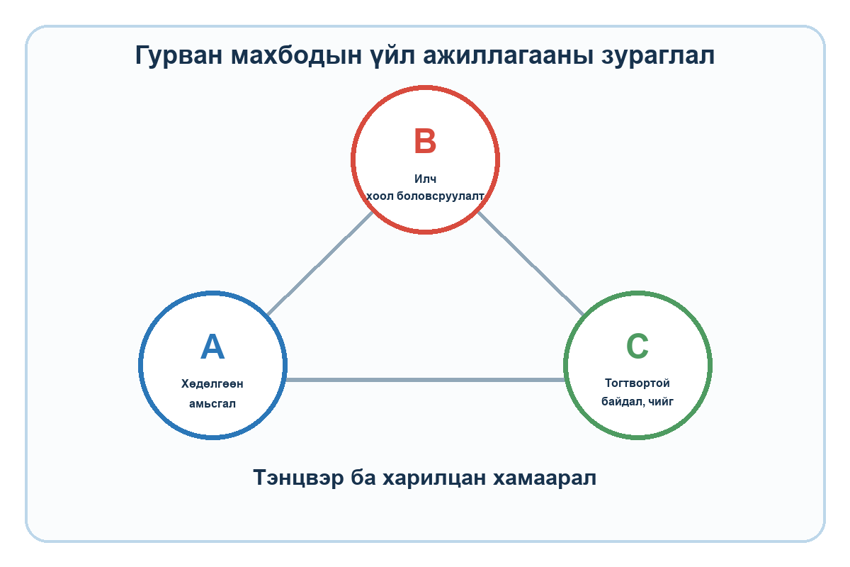 A хөдөлгөөн амьсгал, B илч хоол боловсруулалт, C тогтвортой байдал чийг гэсэн гурван үйл ажиллагааны бүдүүвч