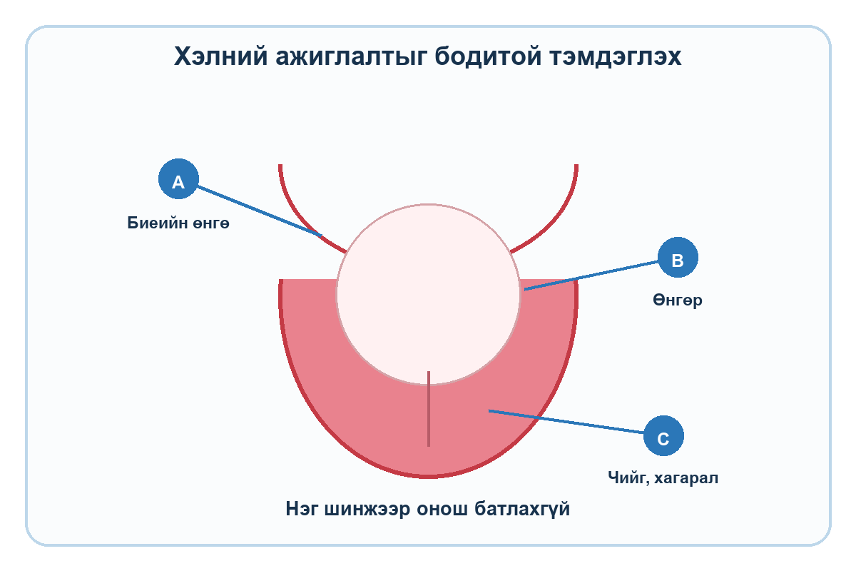 Хэлний биеийн өнгө, өнгөр, чийг ба хагарлыг A B C тэмдэглэгээгээр үзүүлсэн сургалтын бүдүүвч