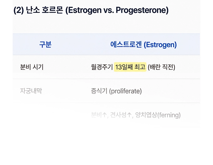 요약집에 바로 필기